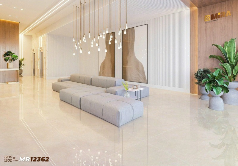 gach-lat-nen-tai-tp-hoa-lu-2